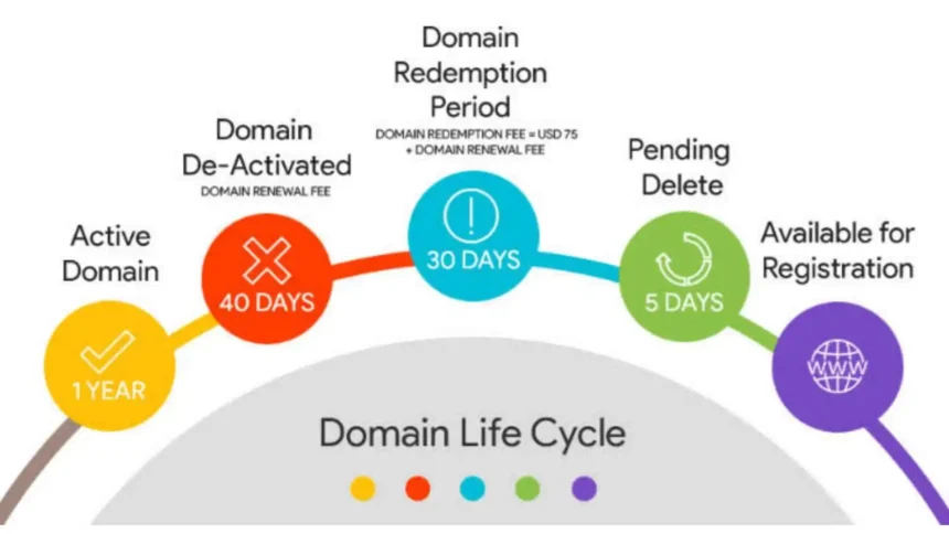 डोमेन जीवन चक्र क्या है What is Domain Life Cycle in Hindi